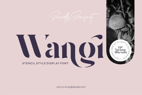 A Designer's Honest Review: Testing the Wangi Font
