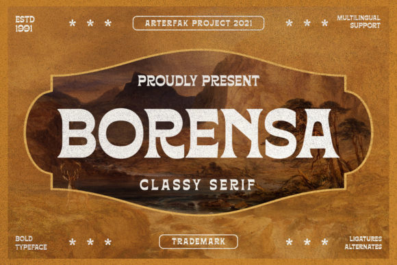 Bringing Bold, Retro Charm to Your Projects with Borensa