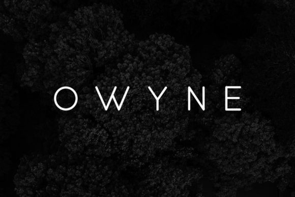 Elevate Your Campaign Visuals with the Owyne Display Font